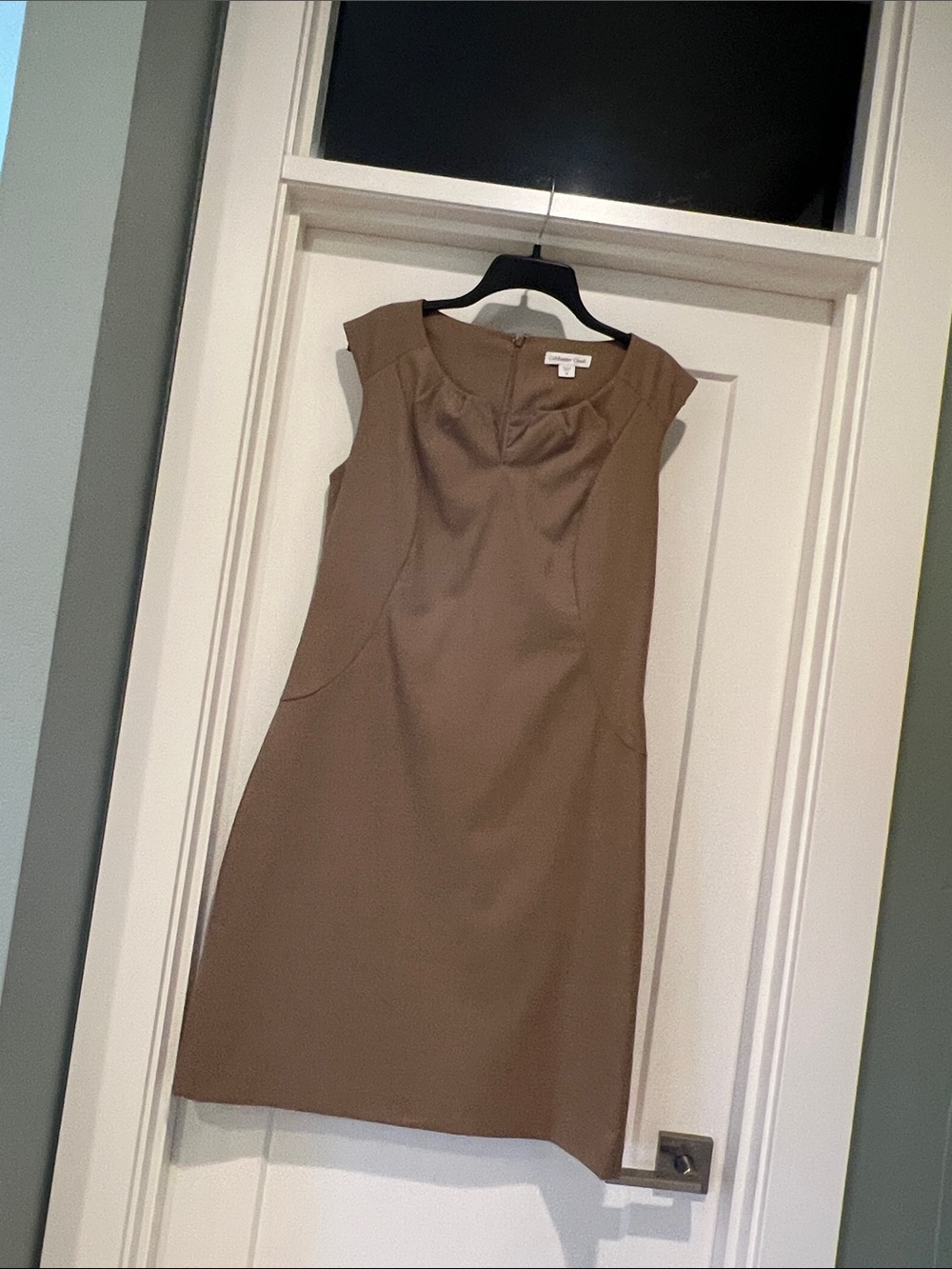 Coldwater Creek Sleeveless Sheath Dress in Brown
